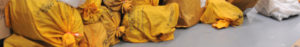 Parcel bags