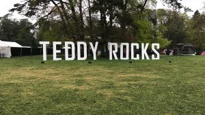 Teddy rocks festival