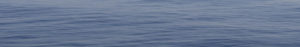 Ocean freight